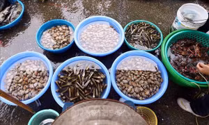 Về Cẩm Phả đến chợ cá Bến Do