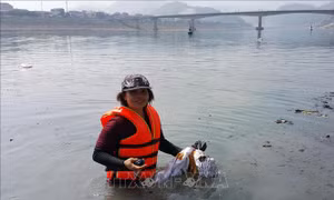 Những hành động đẹp trong ngày tiễn Táo quân về trời