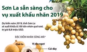 Sơn La sẵn sàng cho vụ xuất khẩu nhãn 2019