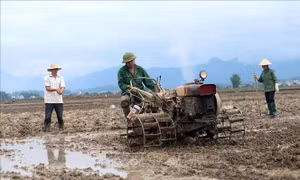 Kế hoạch thực hiện chỉ thị của Ban Bí thư về giảm nghèo bền vững