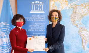 Đại sứ Việt Nam tại Pháp trình Thư ủy nhiệm lên Tổng giám đốc UNESCO