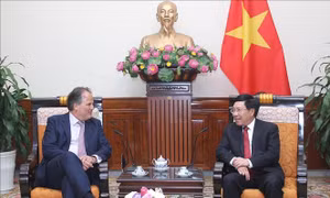 Phát triển hiệu quả quan hệ đối tác chiến lược Việt - Anh trên nhiều lĩnh vực