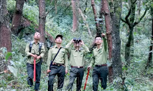 Những người lính ngày đêm giữ rừng trên đỉnh Sam Síp