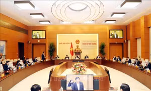 Ủy ban Thường vụ Quốc hội ban hành nghị quyết phê chuẩn nhân sự