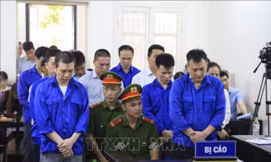 Phạt tù chung thân Tổng Giám đốc CIMCO