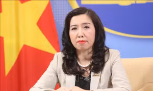 Việt Nam quan tâm, theo dõi sát tình hình phức tạp ở vùng biển của một số nước ASEAN
