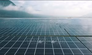 Kiểm tra phản ánh của báo chí về phát triển điện mặt trời