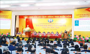 Xây dựng Đảng trong sạch, vững mạnh, nâng cao hiệu quả doanh nghiệp nhà nước
