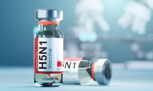 WHO thúc đẩy phát triển vaccine mRNA ngừa cúm gia cầm