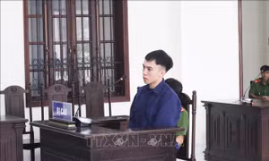 Lừa thuê xe tự lái rồi đem cầm cố, 'game thủ' lĩnh án tù