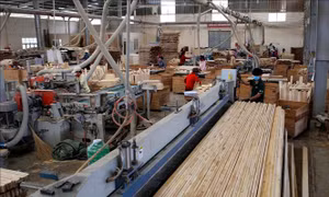 Thông tin việc Hoa Kỳ điều tra lẩn tránh phòng vệ thương mại với gỗ dán và tủ gỗ từ Việt Nam