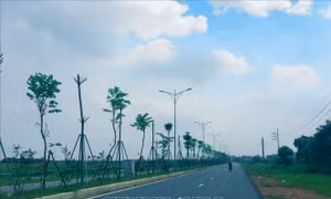 Hà Nội tổ chức giao thông tạm Đường trục phía Nam tỉnh Hà Tây cũ