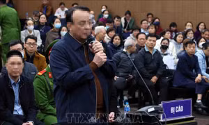 Chủ tịch Tập đoàn Tân Hoàng Minh nhận trách nhiệm trả phần lãi đến hạn trước khi bị bắt