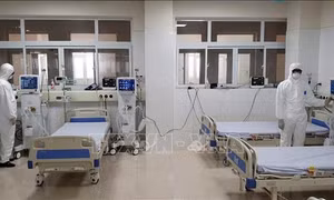 Quảng Ninh tự xét nghiệm được virus Corona