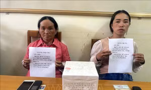 Bắt tạm giam hai đối tượng mua bán trái phép ma túy