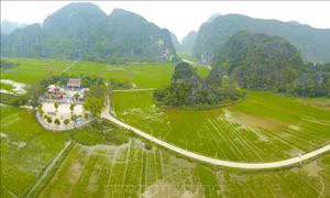 Xanh ngút ngàn mùa lúa Tam Cốc