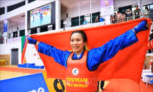 Vovinam Việt Nam đứng số 1 toàn đoàn