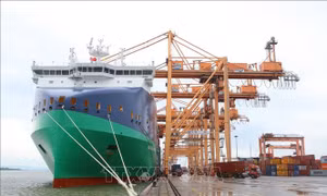 Hải Phòng: Đón tàu đầu tiên chạy bằng nhiên liệu xanh cập Cảng Tân Vũ