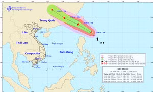 Bão Bailu khả năng mạnh thêm, Trung Bộ mưa lớn đến ngày 25/8