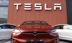 Mexico triệu hồi hơn 4.000 xe điện Tesla do lỗi phần mềm