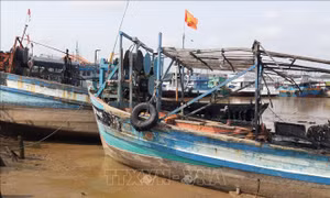 Cháy 5 tàu cá của ngư dân ở Tiền Giang