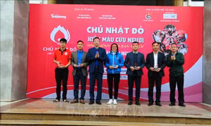 Hơn 700 đơn vị máu thu về từ Chương trình 'Chủ nhật đỏ' năm 2019