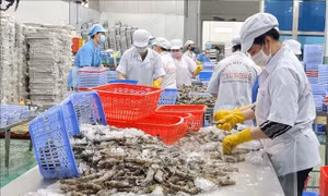 5 tháng, xuất khẩu nông, lâm, thủy sản tăng gần 17%