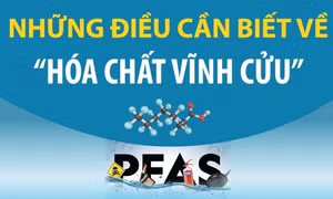 Những điều cần biết về 'hóa chất vĩnh cửu'