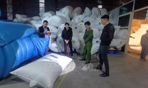 Bắc Giang: Bắt ba đối tượng trộm cắp tài sản có tổ chức