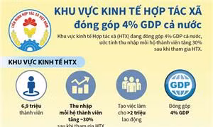 Khu vực kinh tế hợp tác xã đóng góp 4% GDP cả nước