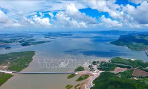 Cao tốc Vân Đồn - Móng Cái tăng tốc về đích