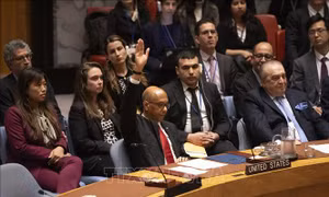 Mỹ phủ quyết dự thảo nghị quyết ủng hộ Palestine trở thành thành viên LHQ