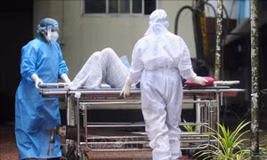 Chưa phát hiện ca nhiễm mới virus Nipah tại Ấn Độ