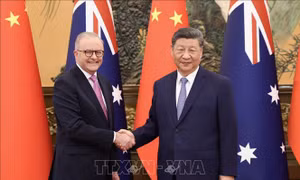Australia triển khai sáng kiến 50 triệu AUD nhằm đa dạng hóa thị trường xuất khẩu
