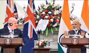 Ấn Độ - New Zealand kỳ vọng FTA thúc đẩy tăng trưởng giữa bất ổn thương mại toàn cầu