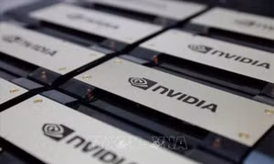 Cổ phiếu công nghệ tăng vọt sau báo cáo lợi nhuận ấn tượng của Nvidia
