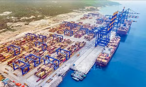 Ấn Độ cảnh báo giữ 'lằn ranh đỏ' trong đàm phán thương mại với Mỹ