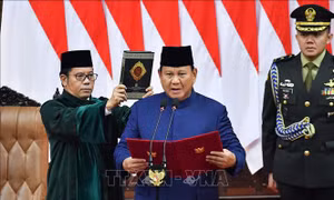 Indonesia chịu sức ép trong nước vì tham gia Hội đồng Hòa bình