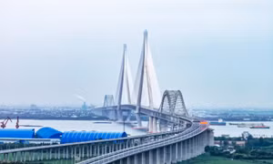 Trung Quốc khánh thành cầu dây văng dài kỷ lục bắc qua sông Dương Tử