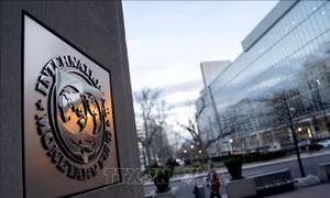 Ukraine trở thành con nợ lớn thứ hai của IMF