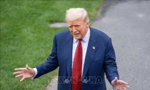 Tổng thống Trump liên hệ tham vọng Greenland với việc không giành Nobel Hòa bình
