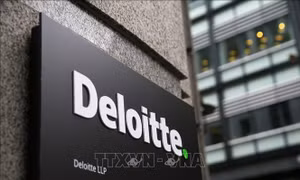 Công ty Deloitte hoàn tiền cho chính phủ Australia do báo cáo sử dụng AI