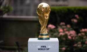 World Cup 2026: Brazil siết quản lý quảng cáo cá cược