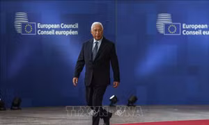 EU cân nhắc biện pháp trả đũa thương mại trước sức ép Greenland từ Mỹ
