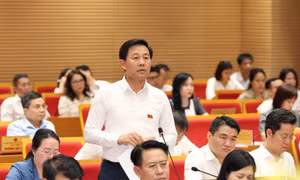 Cử tri Hà Nội chất vấn về an toàn thực phẩm