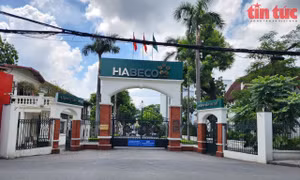 Trụ sở Nhà máy Bia Hà Nội tại 183 Hoàng Hoa Thám.