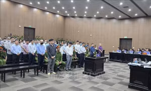 Xét xử vụ Phúc Sơn: Viện Kiểm sát giảm mức án đề nghị cho nhiều bị cáo trước khi Tòa tuyên
