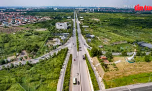 Đường phố mới