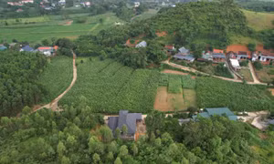 Tại xã Ba Vì có gần 50 điểm nguy cơ sạt lở