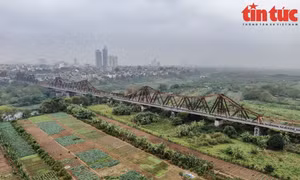 Hà Nội mở cơ chế khai thác đất bãi sông phục vụ nông nghiệp sinh thái